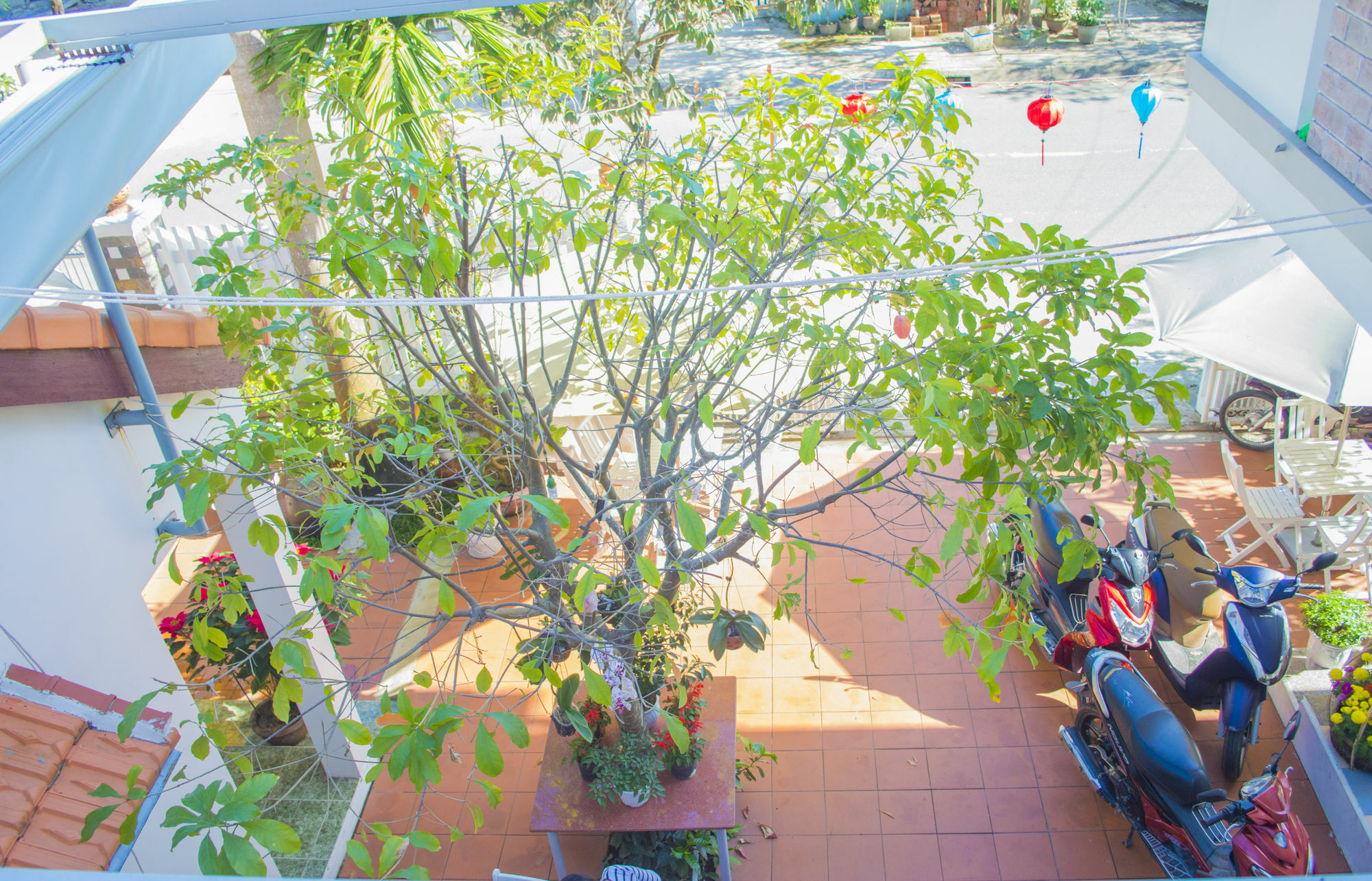 Halo Homestay Хойан Экстерьер фото